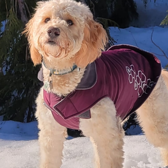 RC Pets Other - RC Pets Fleece-lined Nylon Vest